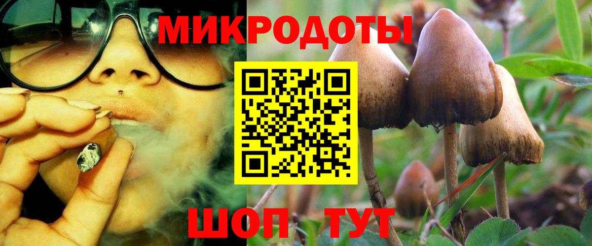Псилоцибиновые грибы GOLDEN TEACHER Минеральные Воды