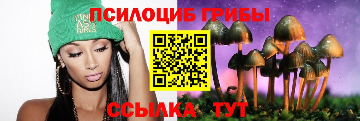 Минеральные Воды  наркошоп  Вход с VPN  Псилоцибиновые грибы Cubensis 